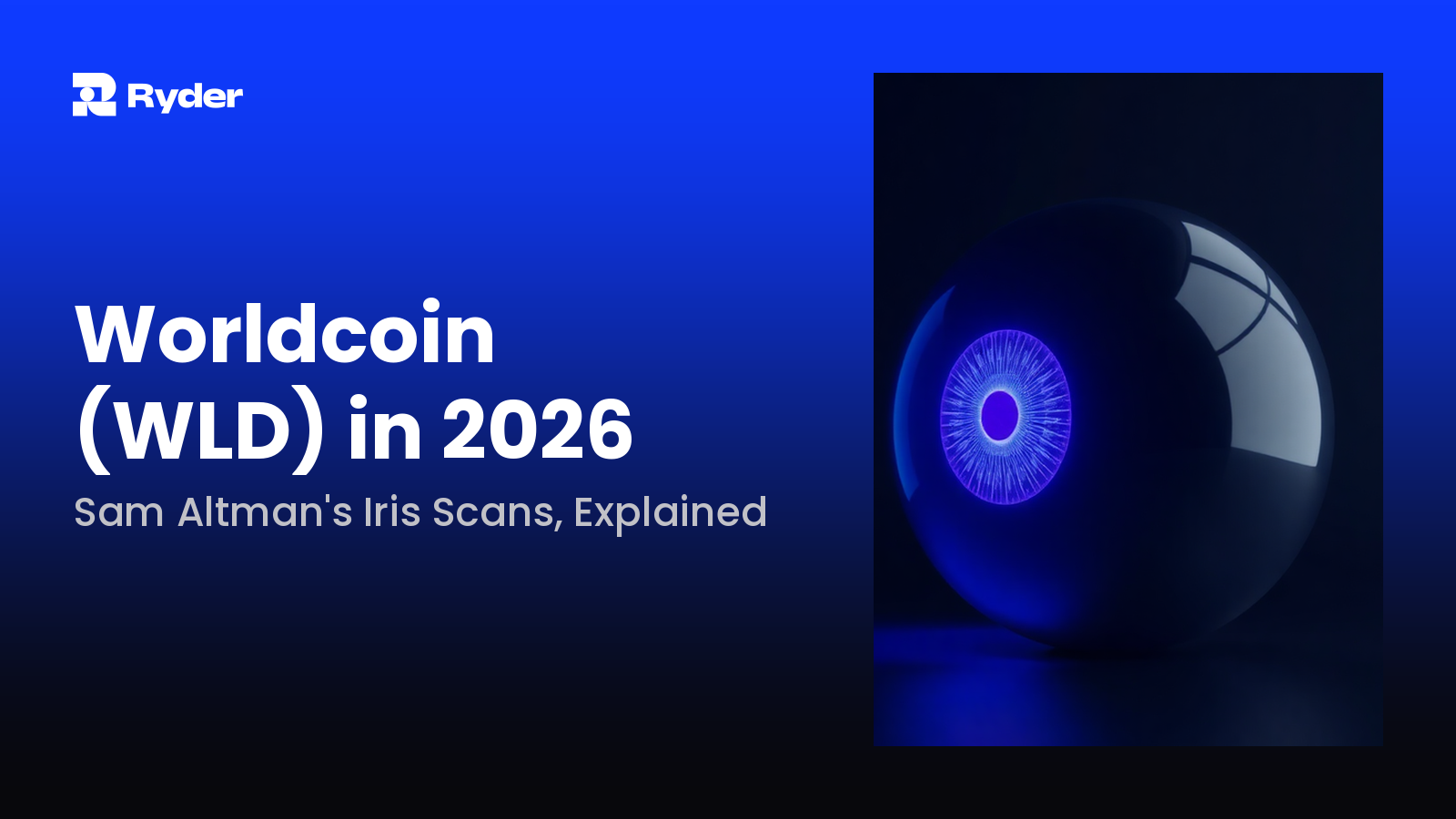 Hero banner — worldcoin